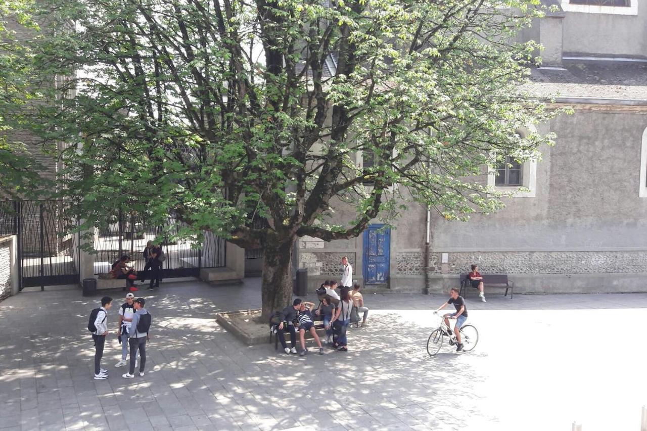 Un Appartement Lumineux Au Parc Beaumont Pau Eksteriør bilde